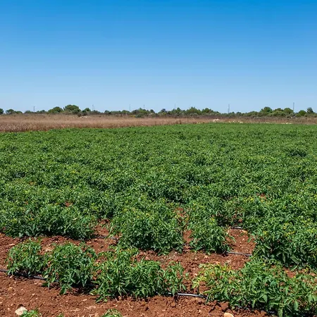 Alojamento de Turismo Rural Masseria Le Creste