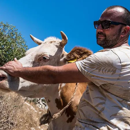 Фермерський будинок Masseria Le Creste *